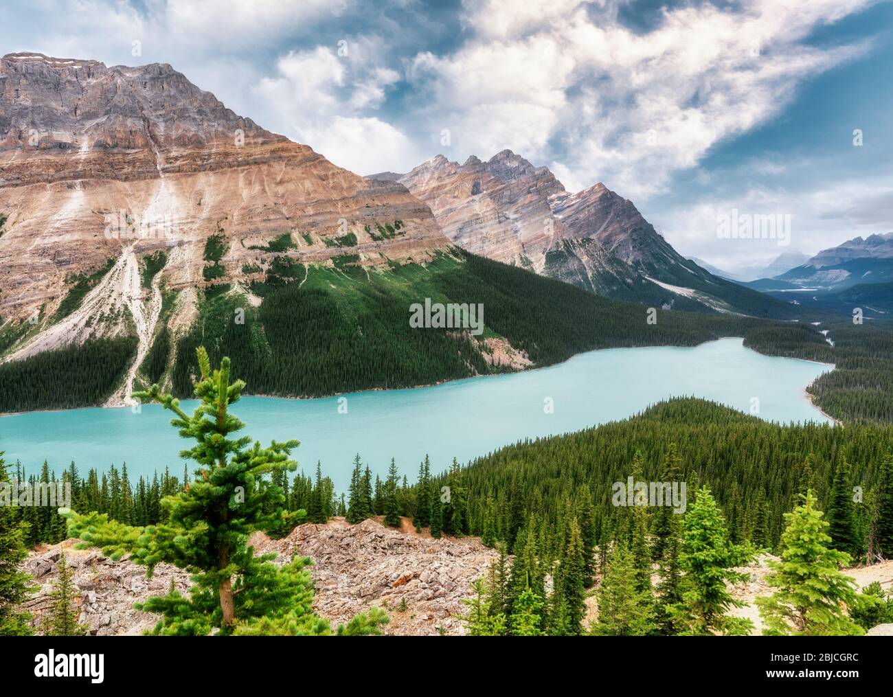 Peyto Lake in den kanadischen Rockies, Alberta, Kanada Stockfoto