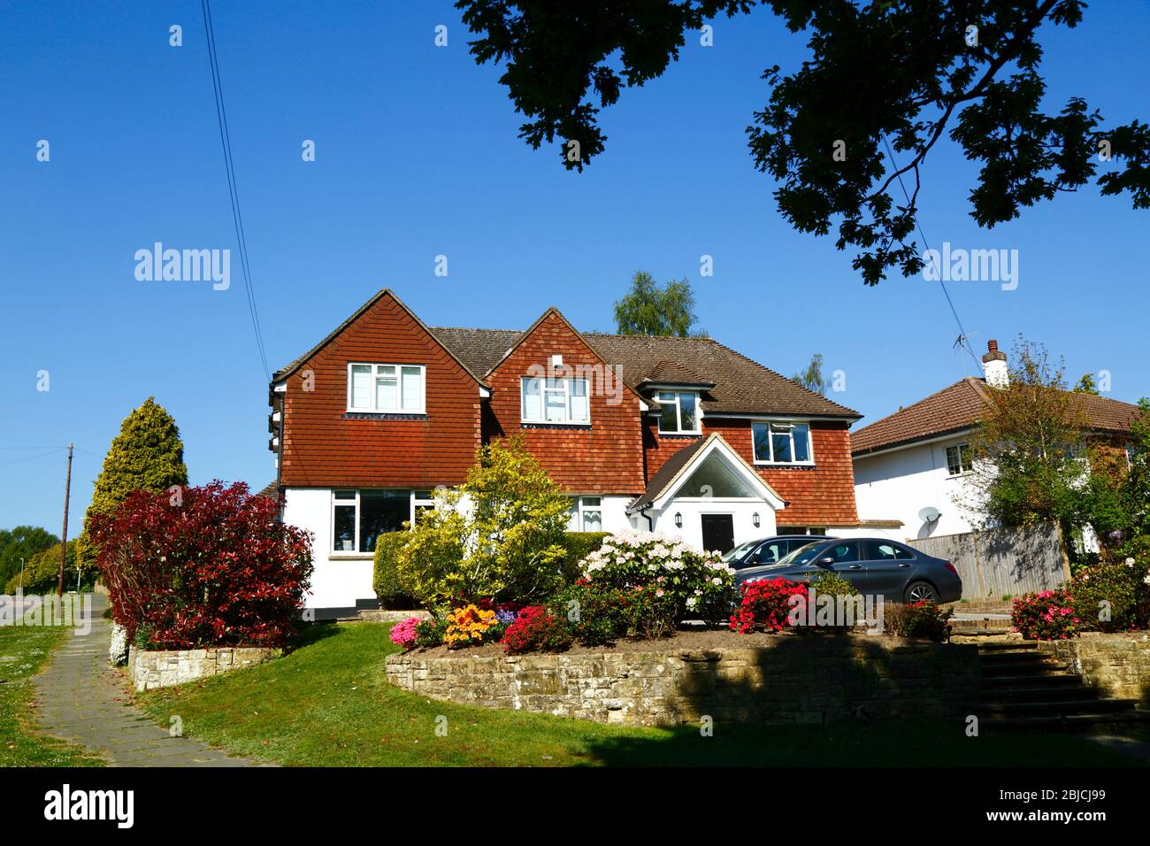 Schöner blühender Vorgarten des Einfamilienhauses in einer vornehmen Wohngegend im Frühling, Bidborough Ridge, Kent, England Stockfoto