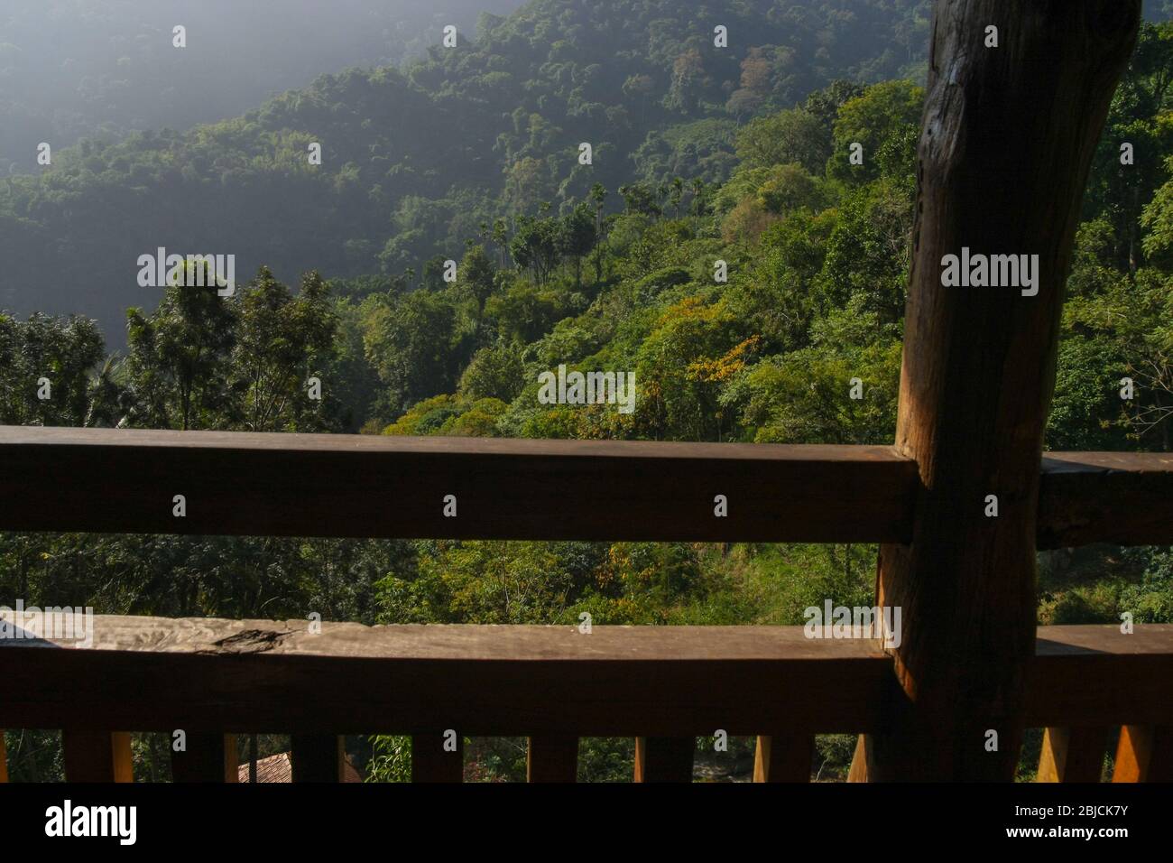 Landschaftlich reizvolle Aussicht auf den Bergdschungel in Coonoor (Tamil Nadu, Indien) Stockfoto