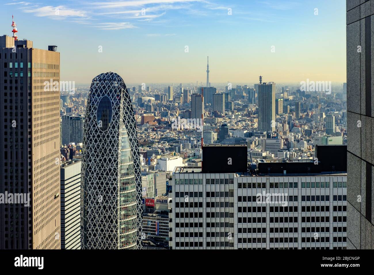 TOKIO, JAPAN - JANUAR 16 2019: Eine hohe Sicht auf Tokio vom Observatoriumdeck, Tokyo Metropolitan Government Building, Shinjuku District High view, T Stockfoto