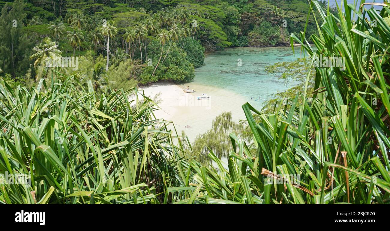 Tropischer Strand umgeben von grüner Vegetation, Französisch Polynesien, Huahine Insel, Pazifischer Ozean, Ozeanien Stockfoto