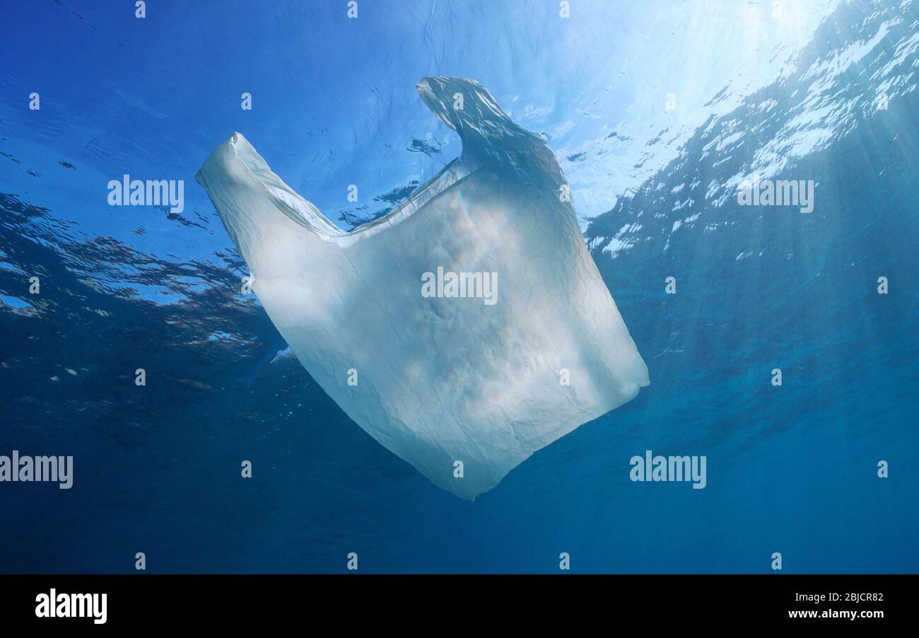 Plastikverschmutzung unter Wasser im Meer, eine weiße Plastiktüte unter Wasseroberfläche Stockfoto