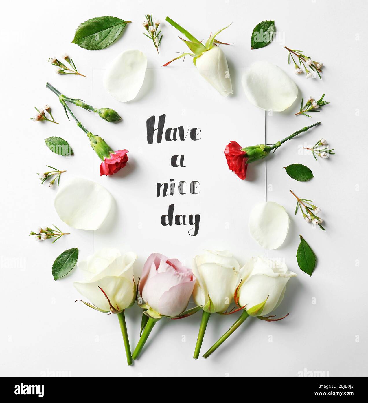 Zitat 'have a nice day' auf Papier mit Blütenblättern und Blumen geschrieben. Draufsicht Stockfoto