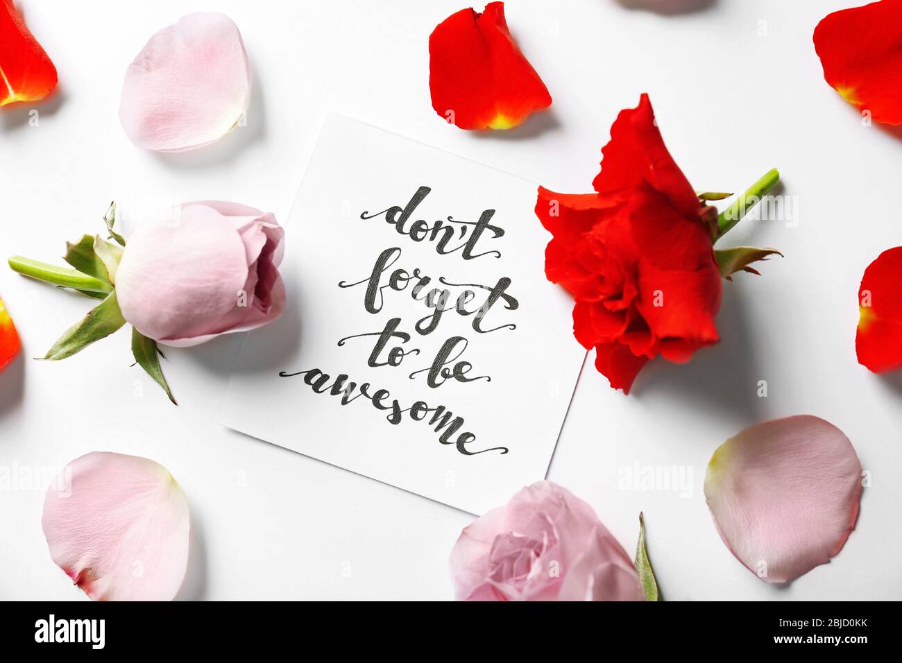 Zitat 'Vergiss nicht, ehrfürchtig zu sein' auf Papier mit Blütenblättern und Blumen geschrieben. Draufsicht Stockfoto