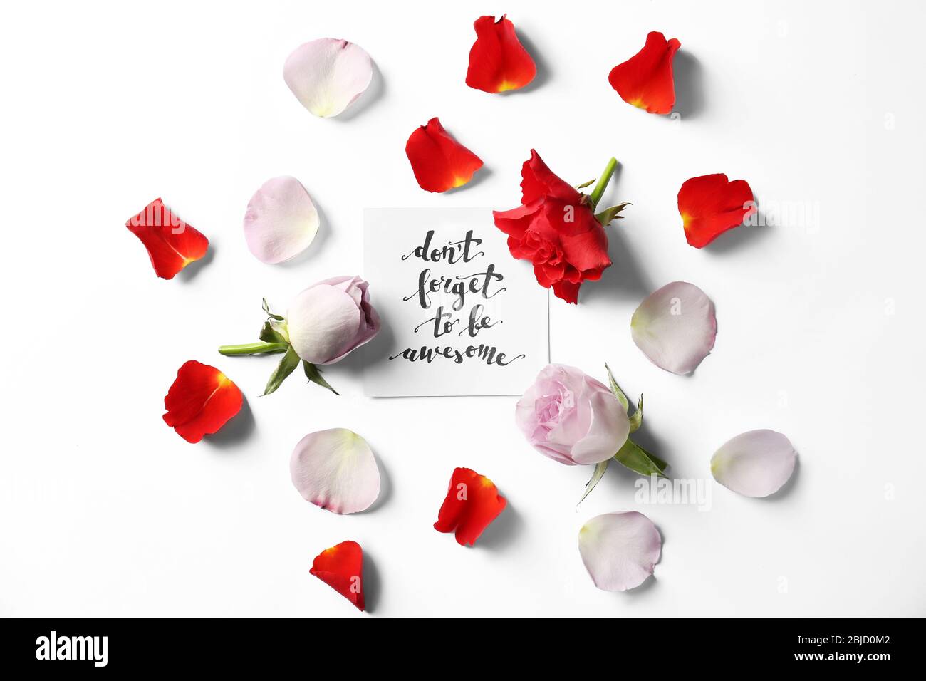 Zitat 'Vergiss nicht, ehrfürchtig zu sein' auf Papier mit Blütenblättern und Blumen geschrieben. Draufsicht Stockfoto