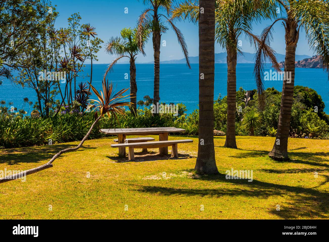 Onetangi Beach auf Waiheke Island in der Nähe von Auckland in Neuseeland Stockfoto