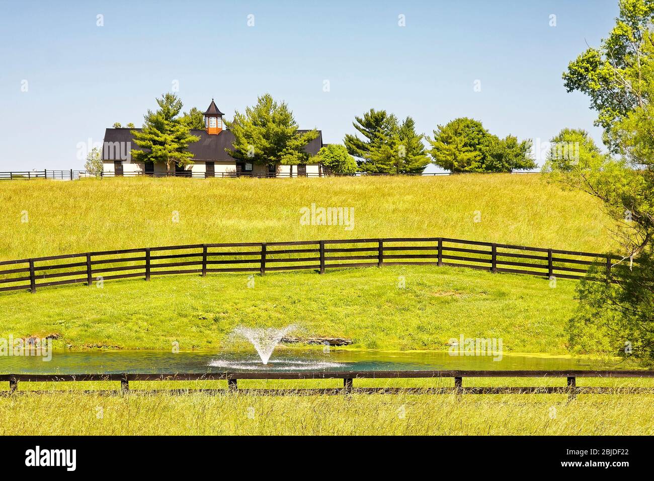 Pferdefarm Szene, Teich, Wasserspeier, Belüftung, Scheune, Kuppel, schwarze Zäune, grünes Gras, ländliches; Kentucky; USA, Lexington; KY; Frühling Stockfoto