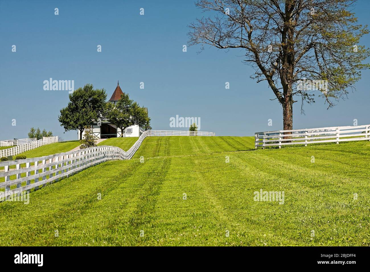 Pferdefarm Szene, weiße Zäune, Scheune, Kuppel, grünes Gras, friedlich, ländlich, Bäume, Kentucky; USA; Kentucky; Lexington; KY; Frühling Stockfoto