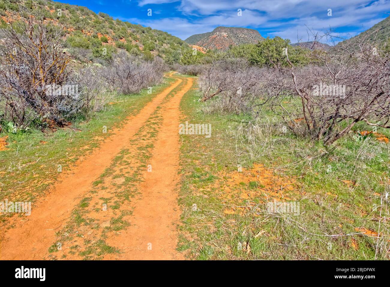 Ein alter ATV Trail, der durch den Woods Canyon südlich von Sedona AZ führt. Stockfoto