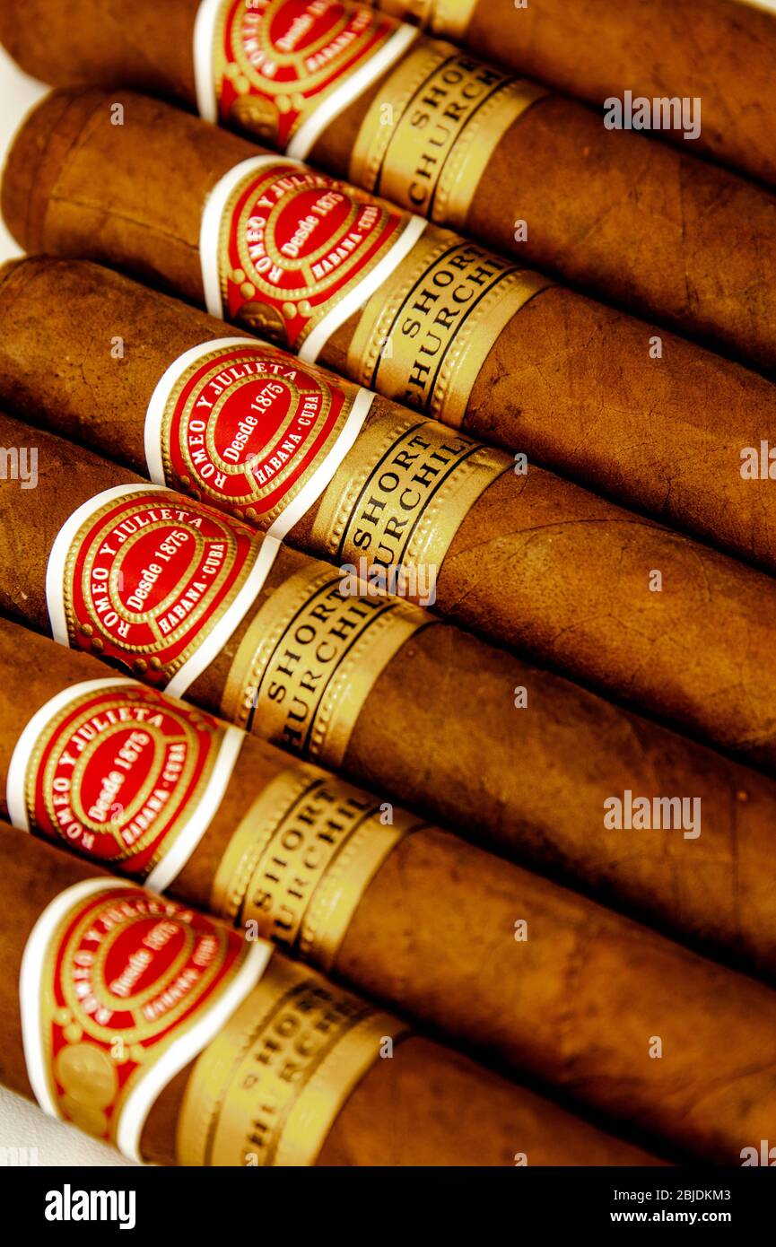 Zigarren: Kubanische Zigarren. Romeo y Julieta und Hoyo de Monterrey. Handgedrehtes traditionelles Tabakprodukt. Weißer Hintergrund. Stockfoto