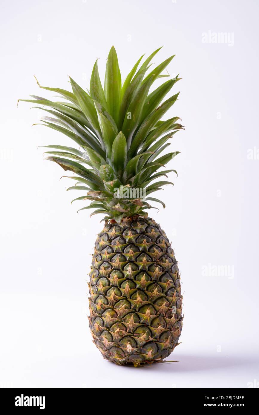 Porträt Von Reifen Ananas Auf Weißem Hintergrund Stockfoto