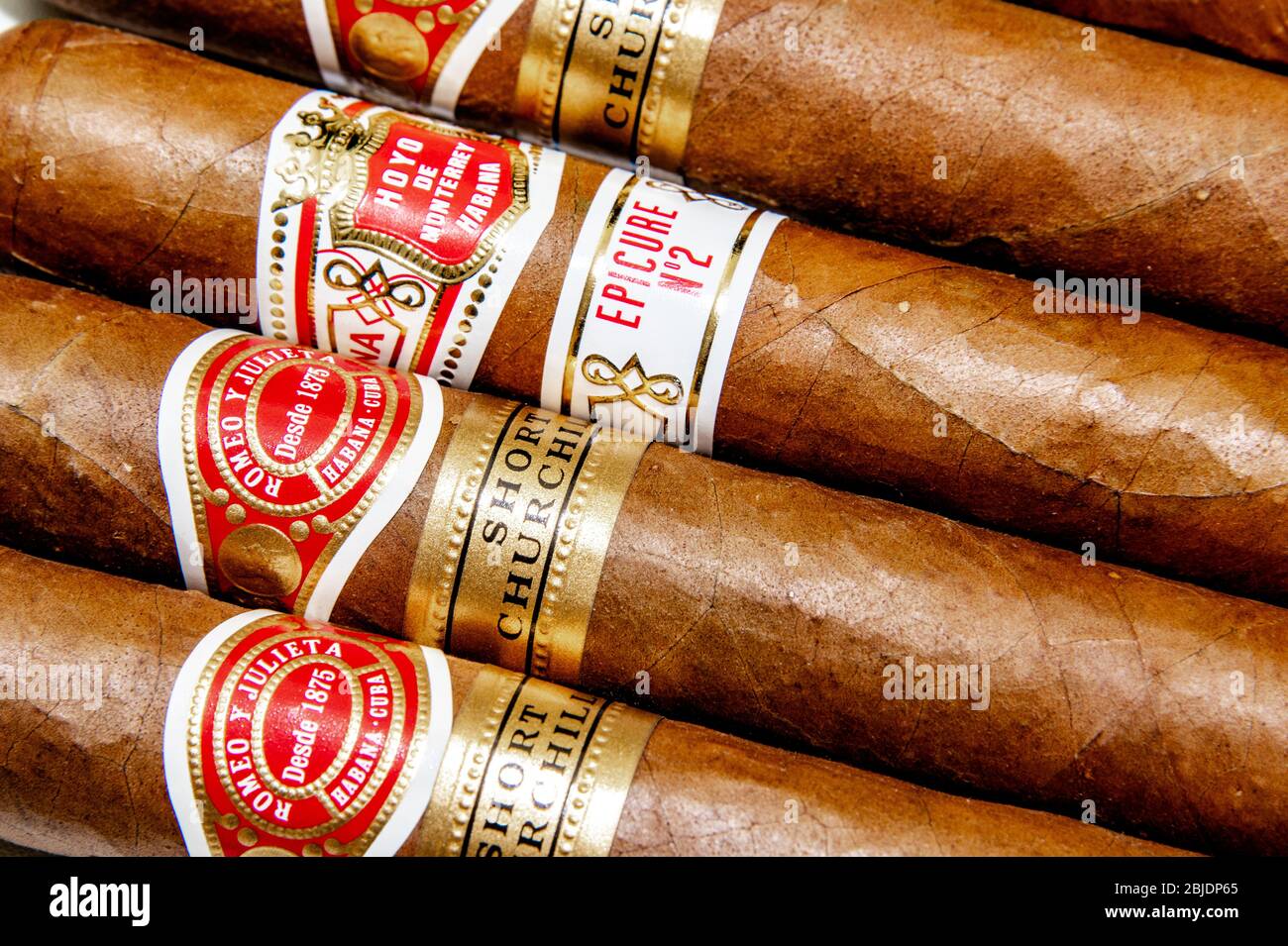 Zigarren: Kubanische Zigarren. Romeo y Julieta und Hoyo de Monterrey. Handgedrehtes traditionelles Tabakprodukt. Weißer Hintergrund. Stockfoto