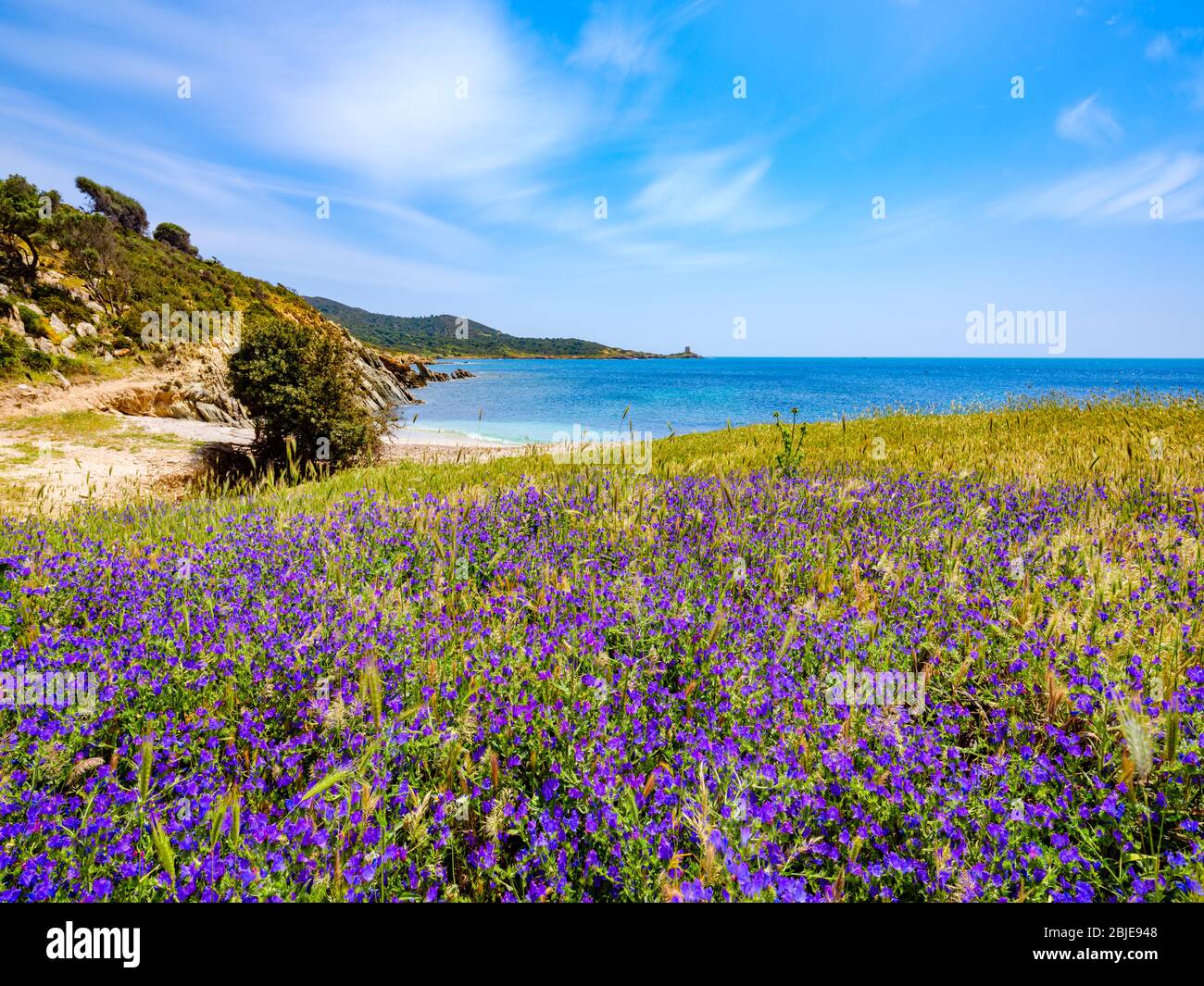 Freier Strand von Punta Libeccio - Cala Angioni mit Blick auf das türkisfarbene Meer von ​​Sardinia Stockfoto