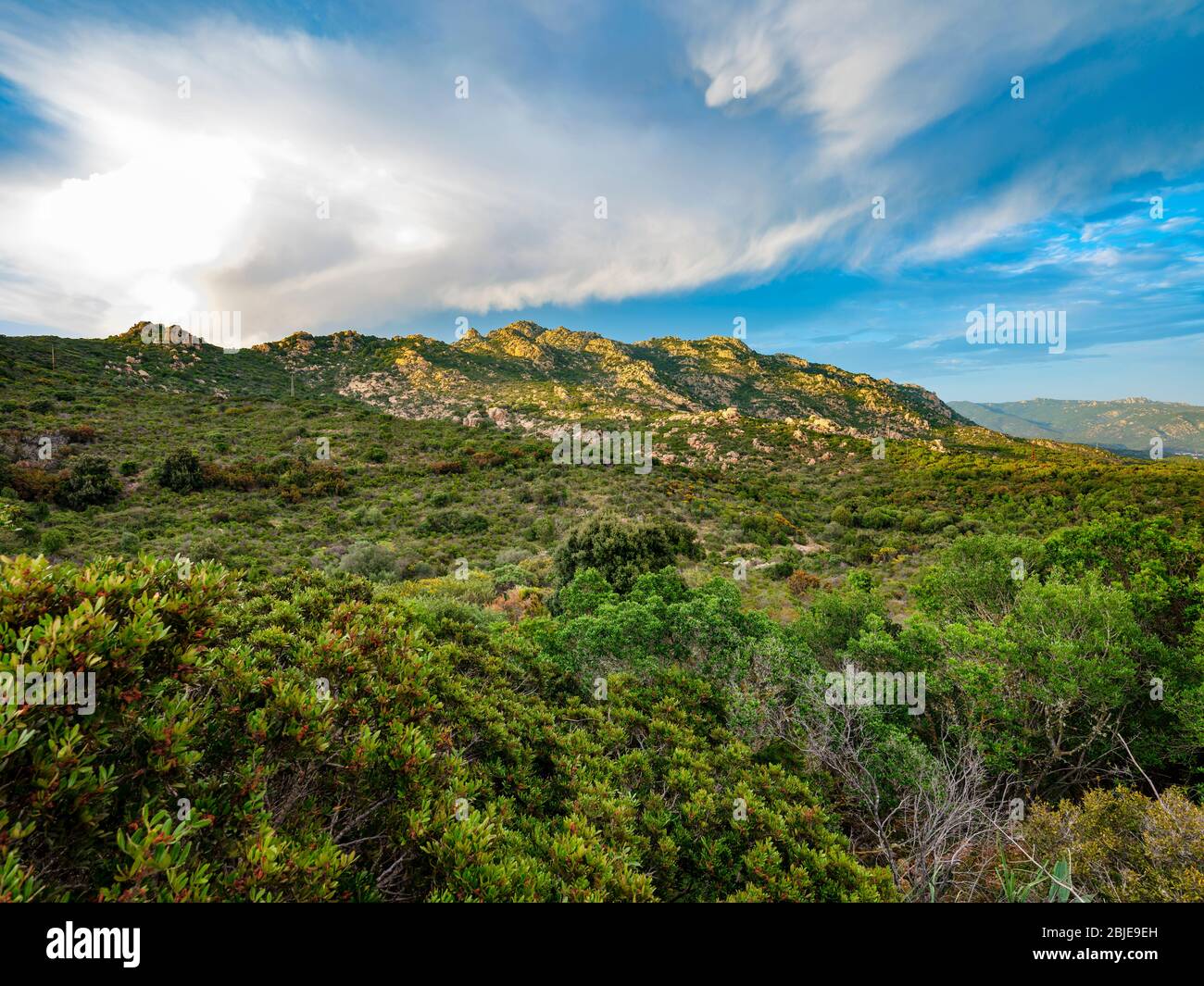 Ist Cannoneris Naturpark in Sardinien, Italien Stockfoto