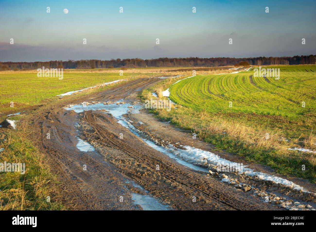 Schlammige Straße durch grüne Felder, letzter Schnee, Horizont und Mond am Abendhimmel Stockfoto