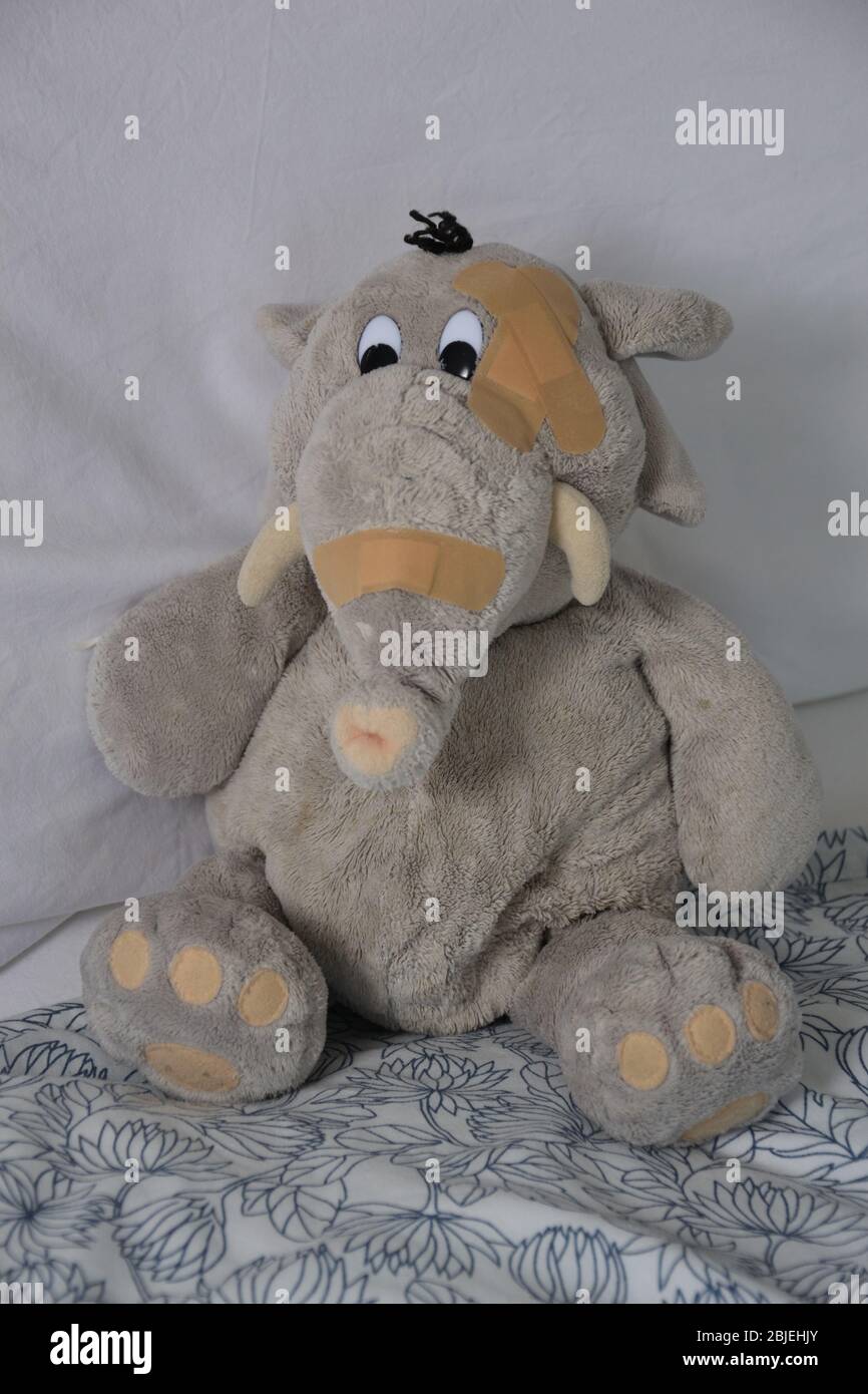 Ein ausgestopfter Elefant Stockfoto