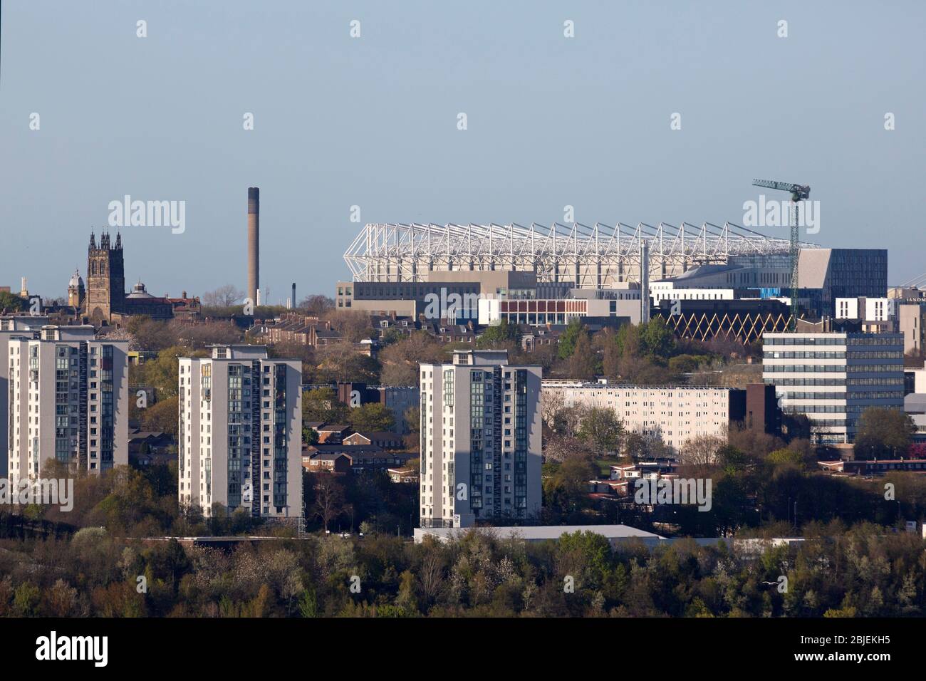 Gebäude in Newcastle upon Tyne, England. Die Skyline umfasst Wohntürme und das Fußballstadion St. James' Park. Stockfoto