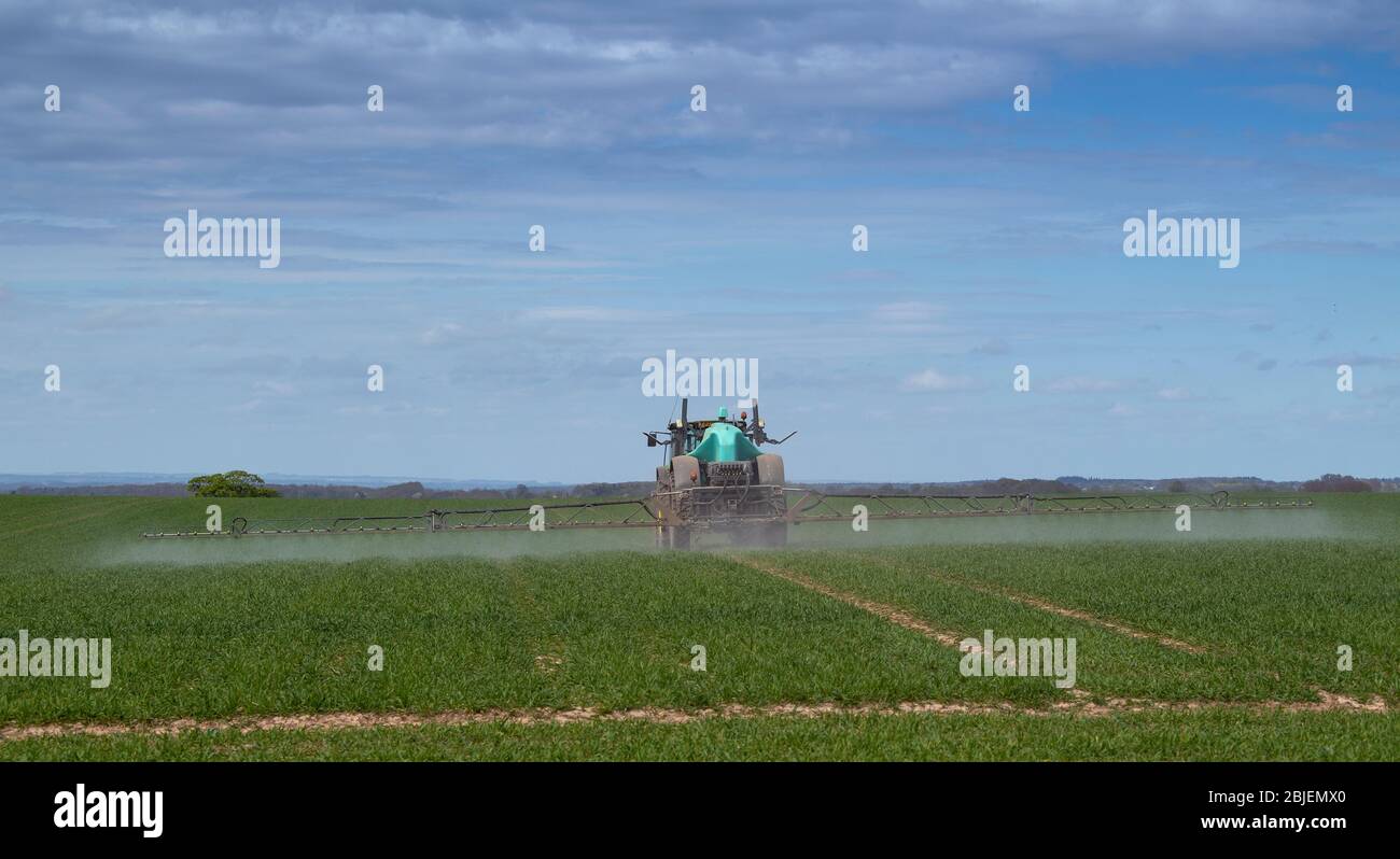 Das Sprühen von Winterweizenernte im Frühjahr mit einem Berthoud-gezogenen Feldspritzer, gezogen von einem John Deere 6140R. Ripon, North Yorkshire, Großbritannien. Stockfoto