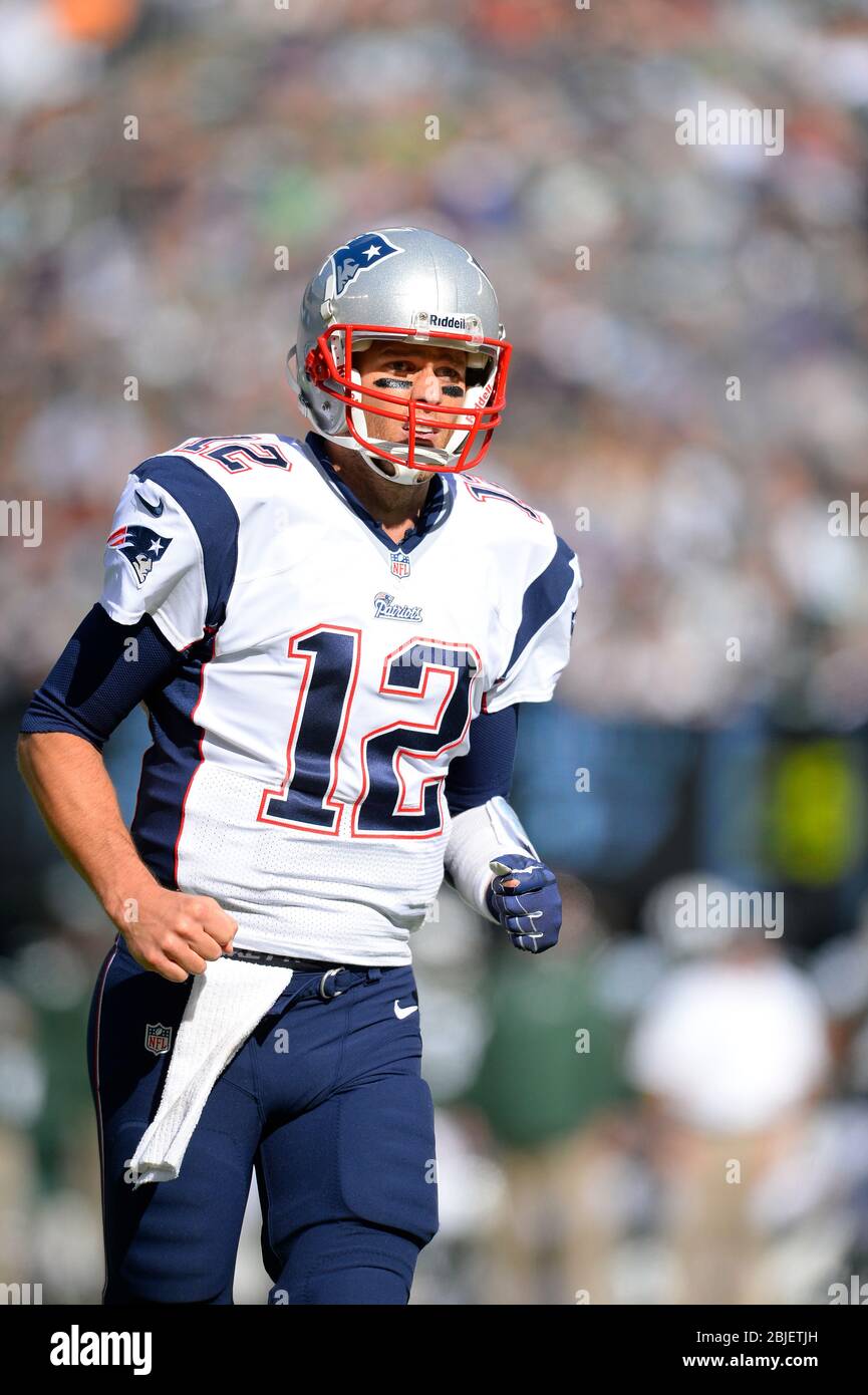 20. Oktober 2013: New England Patriots Quarterback Tom Brady (12) läuft nach einem Touchdown in der ersten Hälfte einer Woche 7 AFC East in Richtung Endzone Stockfoto