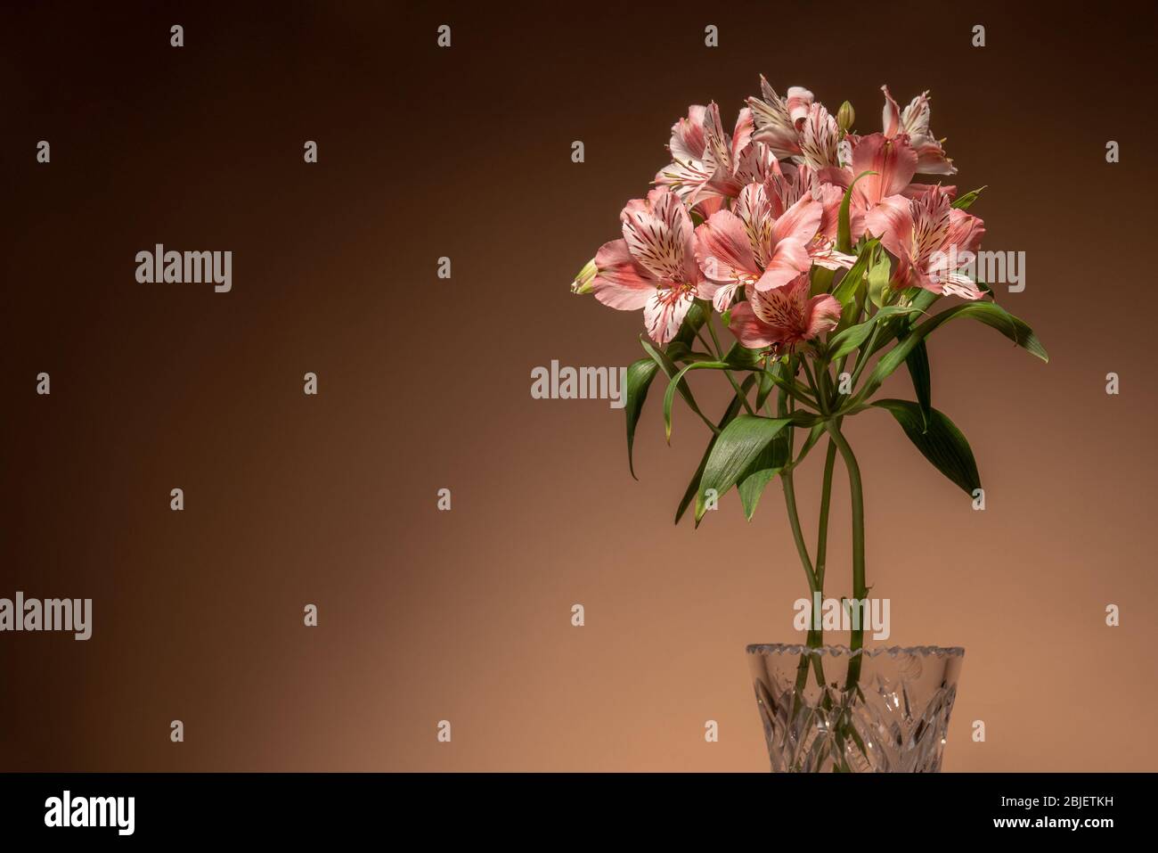 Kleine rosa Alstroemeria Blüten in Vase isoliert auf braunem Hintergrund Stockfoto