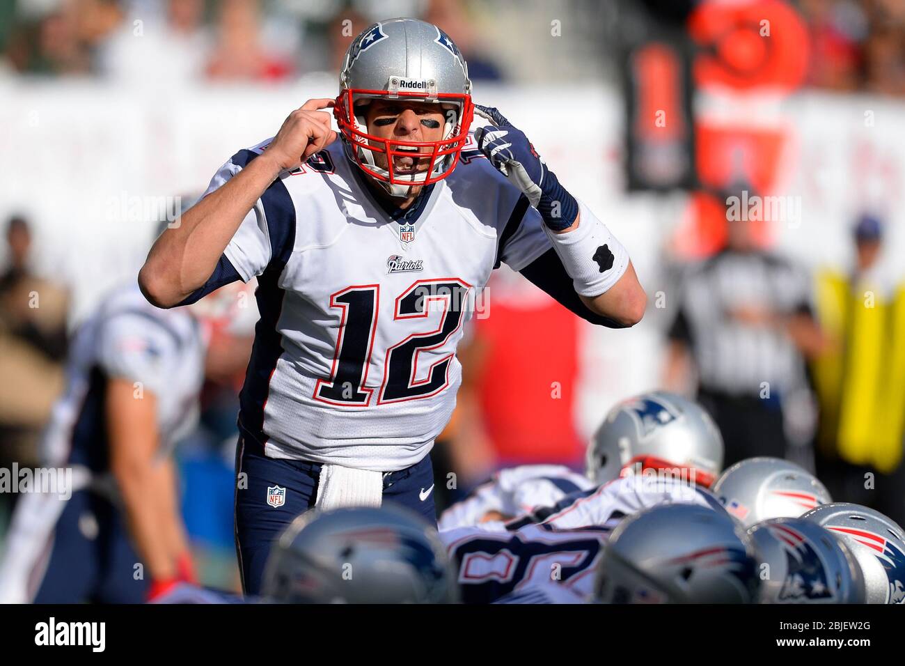 20. Oktober 2013: New England Patriots Quarterback Tom Brady (12) ruft während der zweiten Hälfte einer Woche 7 AFC East Matchup zwischen den Neuen ein hörbares Stockfoto