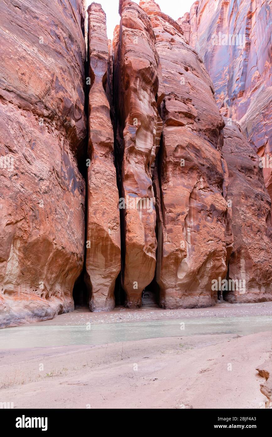 Bilder von einer Rucksackreise durch Buckskin Gulch/Paria Canyon, Vermilion Cliffs National Monument, Utah & Arizona. Stockfoto