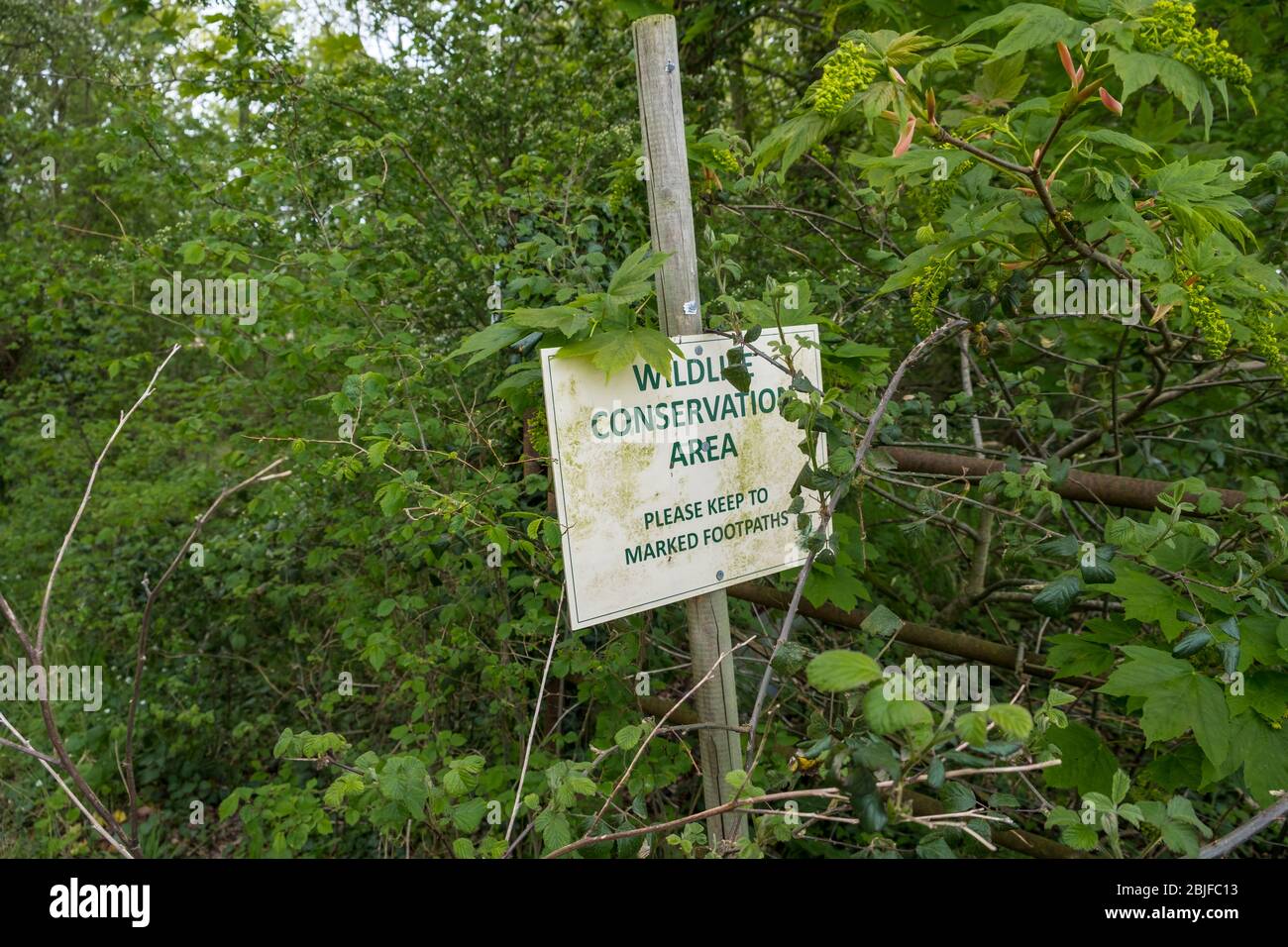 Schild für Naturschutzgebiet, Suffolk, Großbritannien. Stockfoto