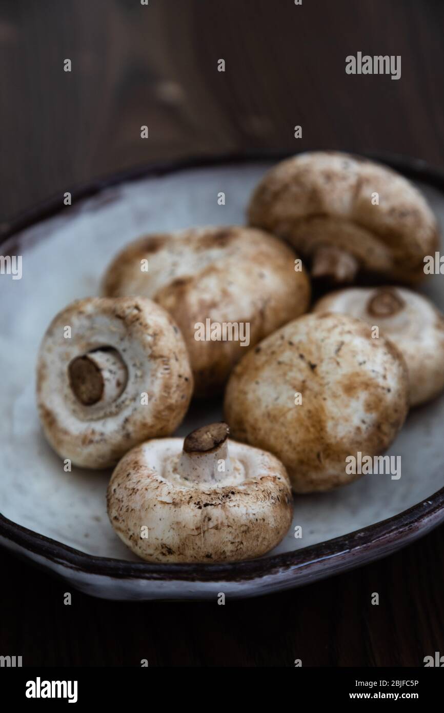 Weiße Champignons in einer Schüssel, Basidiomycete-Pilze in einer Schüssel Stockfoto