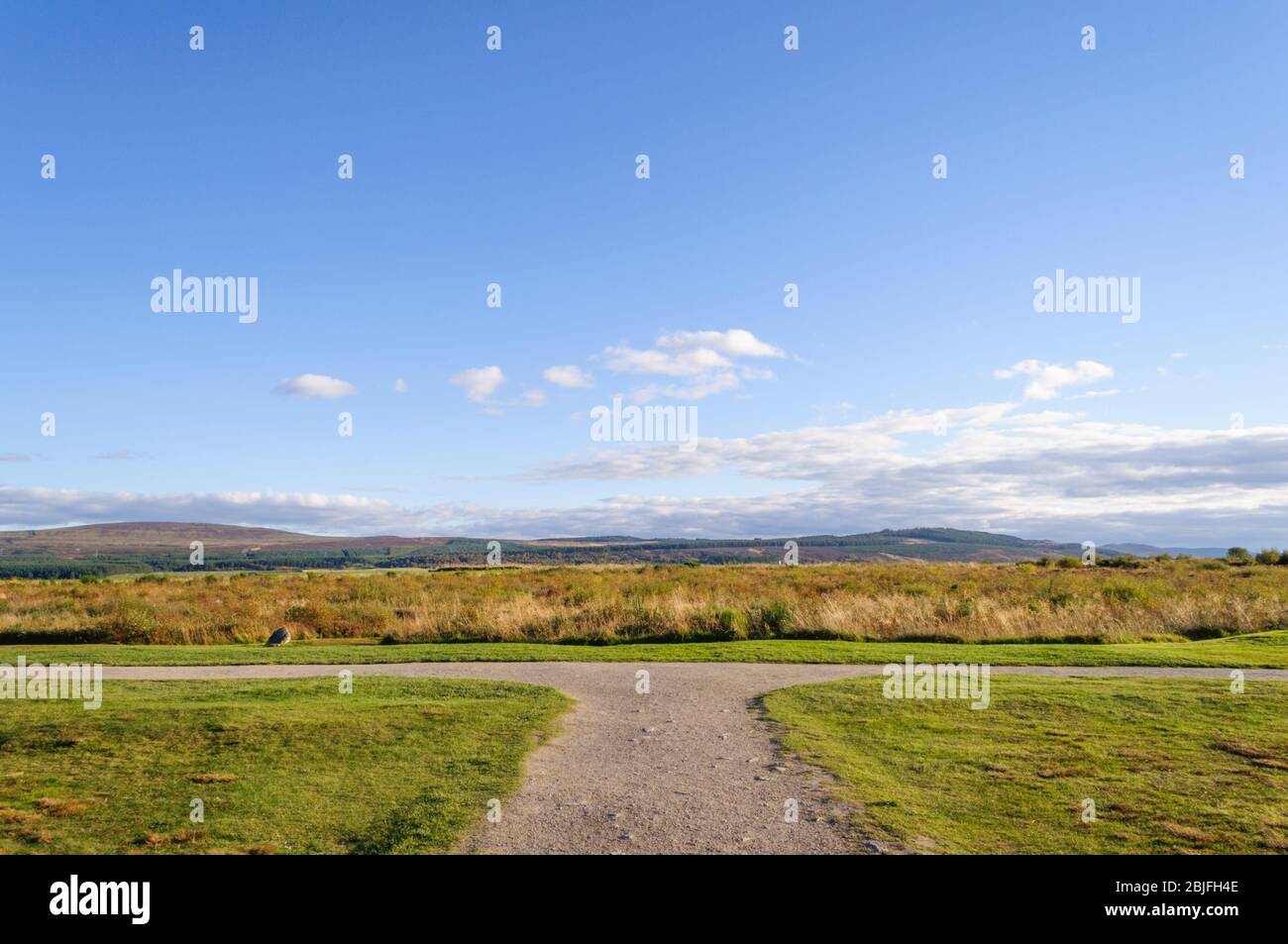 Konzept der Wahl & Entscheidungsfindung, dieser Fußweg in Culloden, in Schottland, gabelt links und rechts Stockfoto
