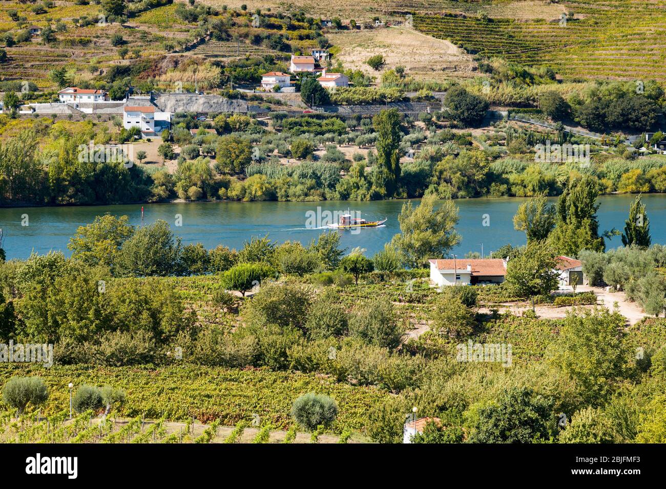 Rabelo Portweinboot vorbei an Weinbergen an den grünen Hügeln und Ufern des Flusses Douro Region nördlich von Viseu in Portugal Stockfoto