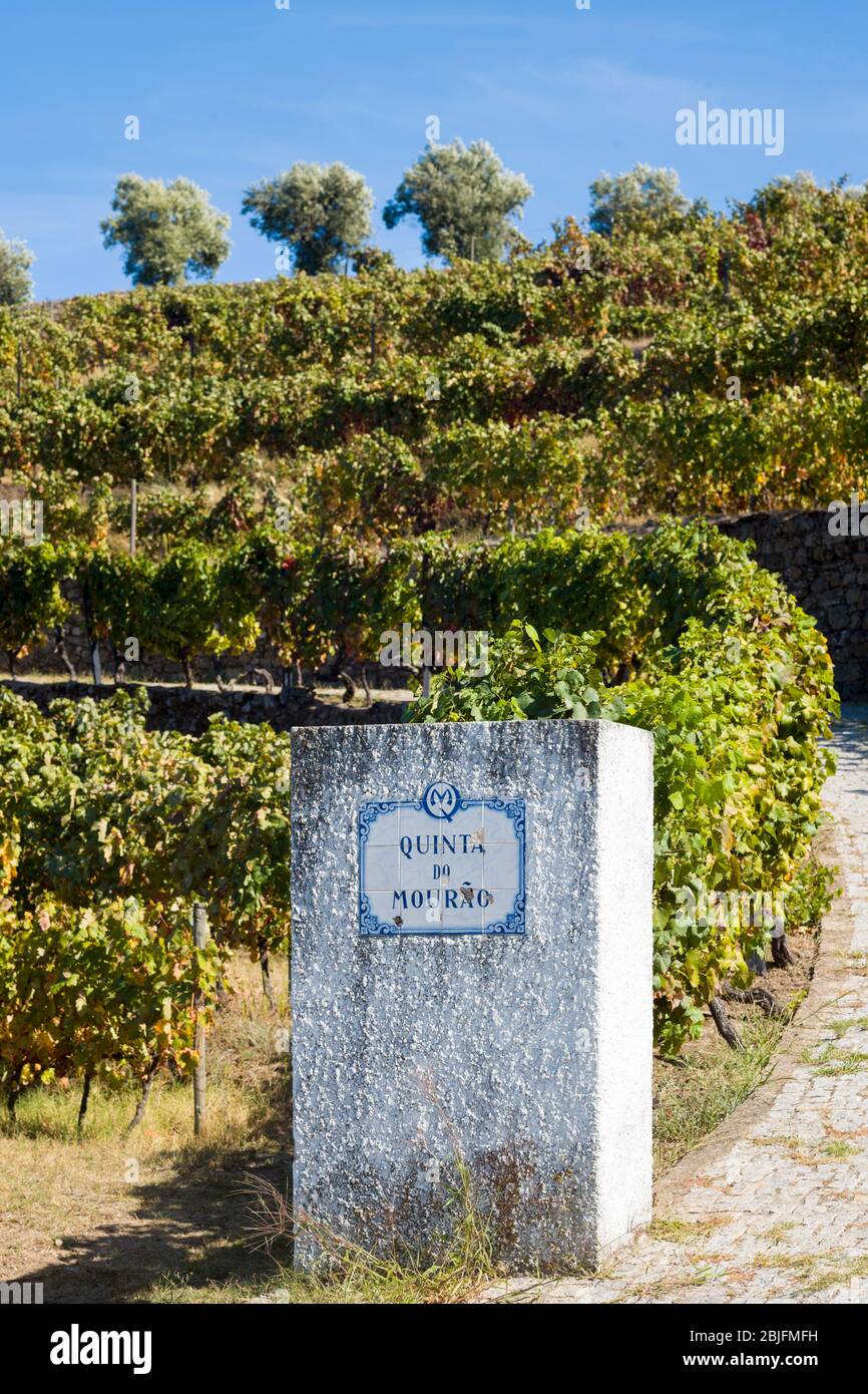 Quinta do Mourao Portweinhütte und Wegweiser zum Namen des Landgutes entlang des Douro Flusses nördlich von Viseu in Portugal Stockfoto