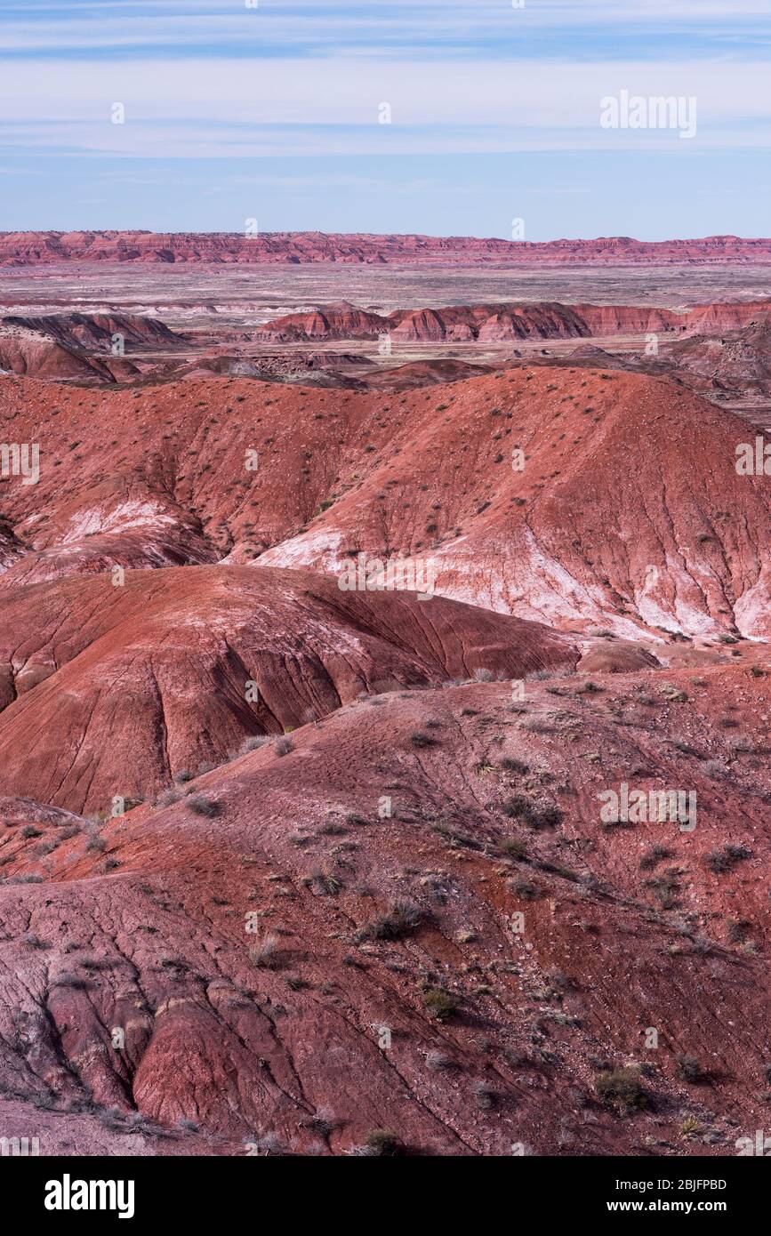 Spätes Abendlicht auf der Painted Desert und den weiten Badlands im Petrified Forest National Park, Arizona. Stockfoto