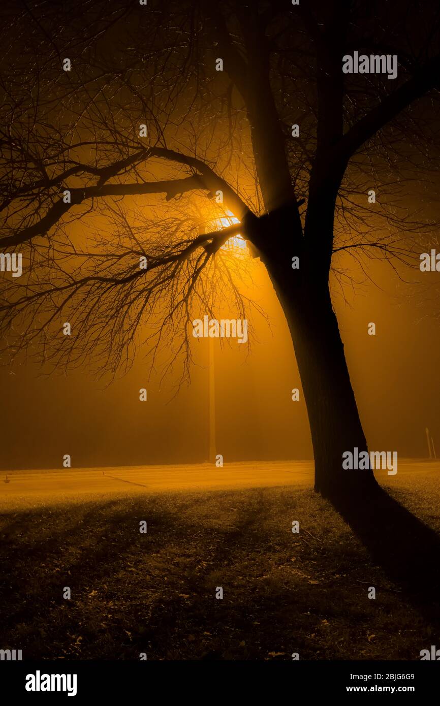 Blue Earth Rastgebiet in östlicher Richtung entlang der Interstate 90 an einer nebligen und gruseligen Dezembernacht in Minnesota, USA Stockfoto