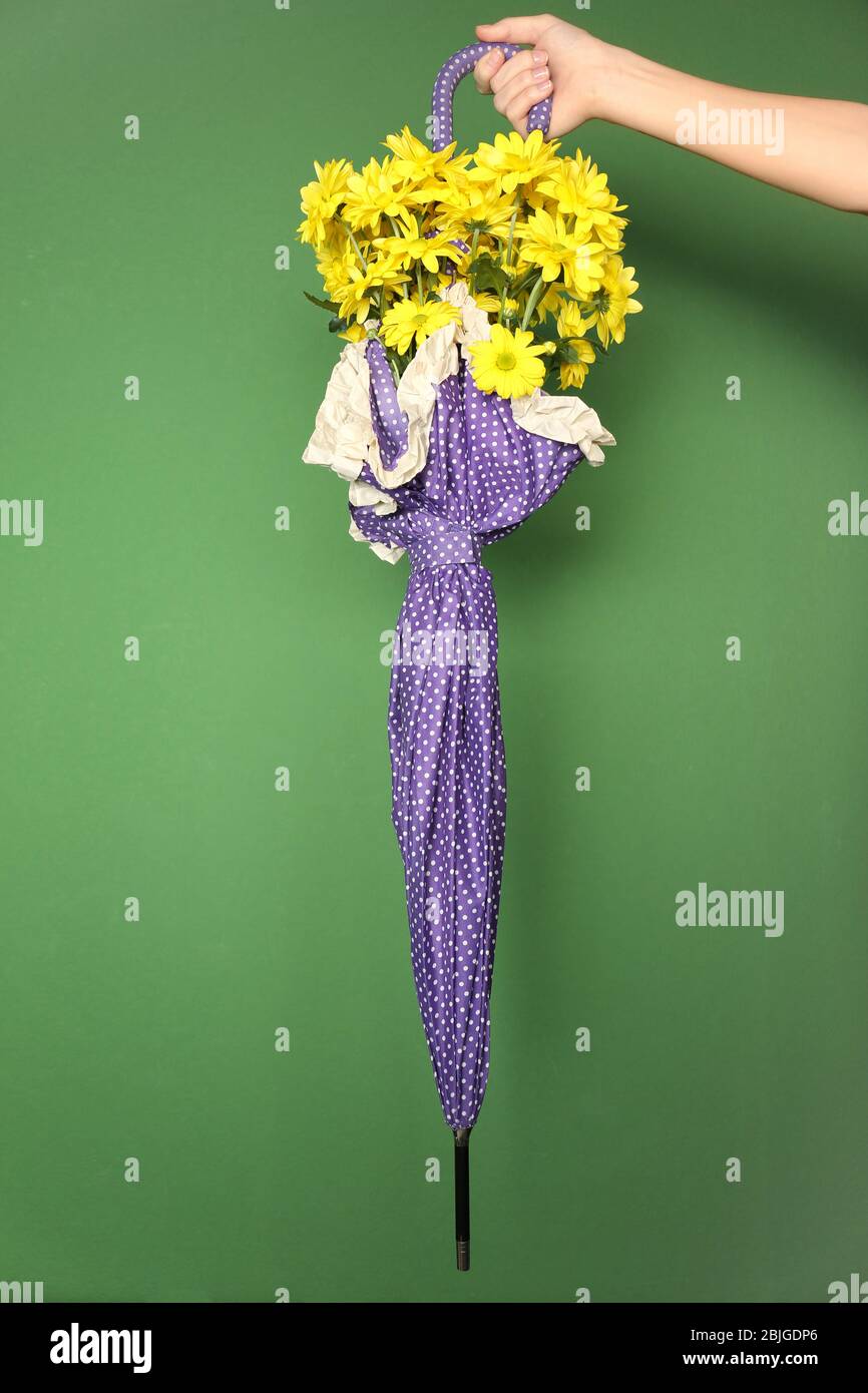 Frau mit fliedernen Regenschirm mit schönen Blumen auf farbigen Hintergrund Stockfoto