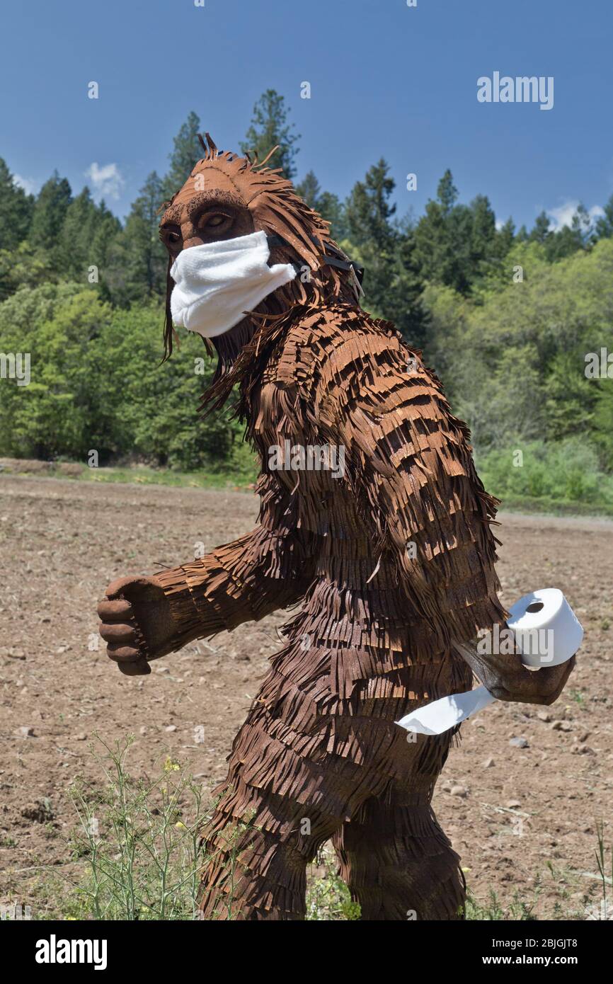 Bigfoot trägt COVID-19 Antivirus-Maske, tragen Rolle Toilettenpapier, durch kultiviertes Feld. Stockfoto