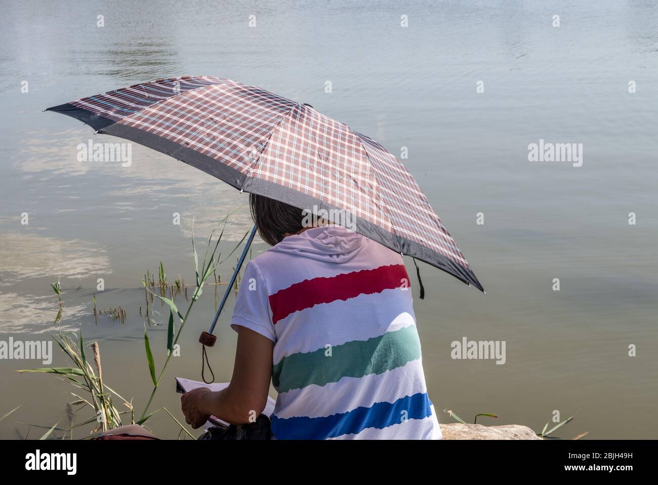 Frau sitzt am Wasser und liest mit einem Regenschirm, um sie vor der Sonne zu schützen. Stockfoto