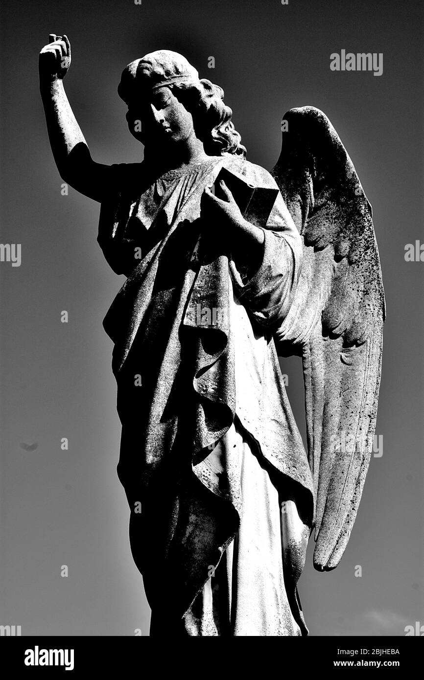 Engel schwarz und weiß Stockfoto