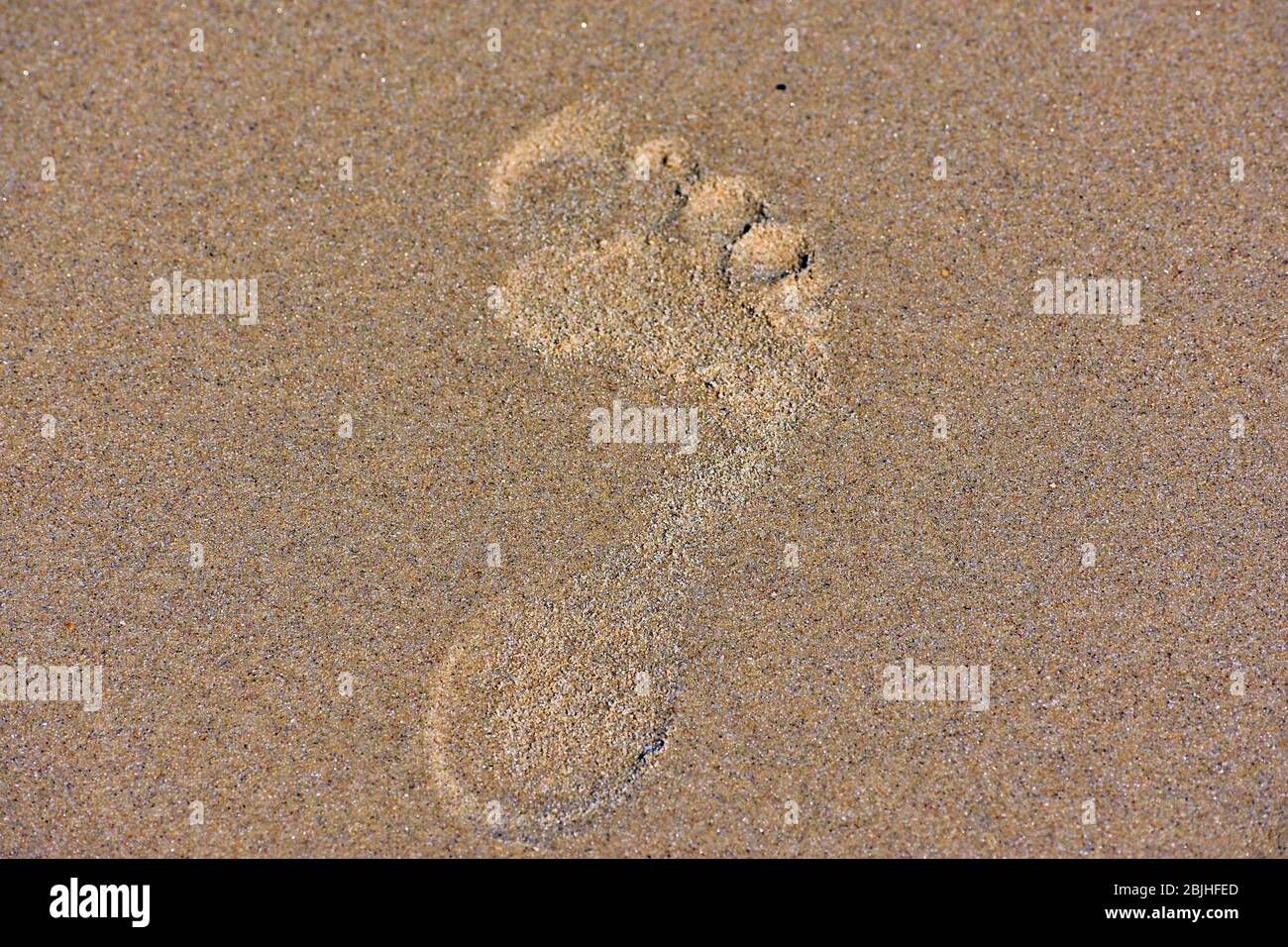 Sandiger Untergrund Stockfoto