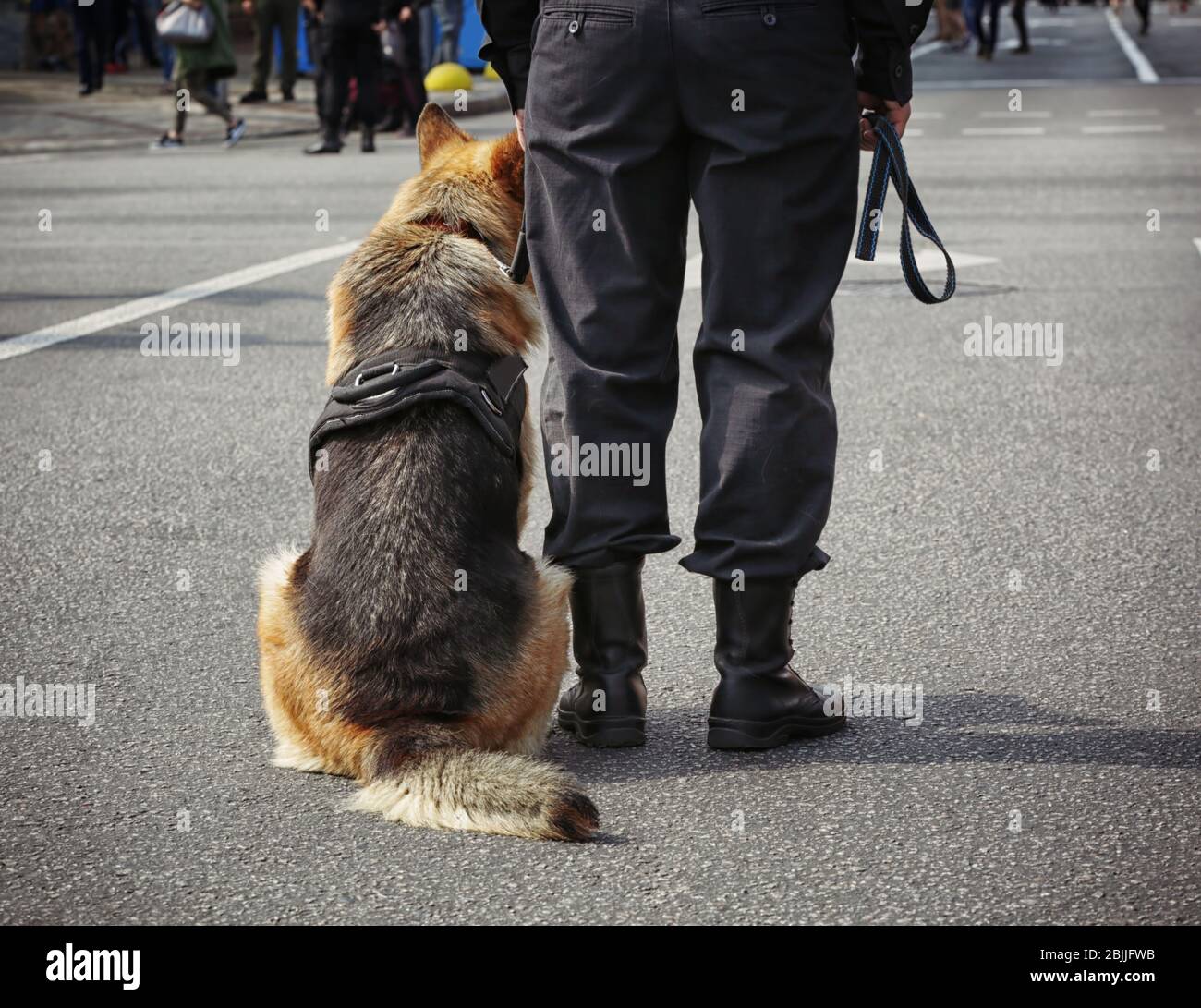 Smart Polizei Hund im Freien sitzen Stockfoto