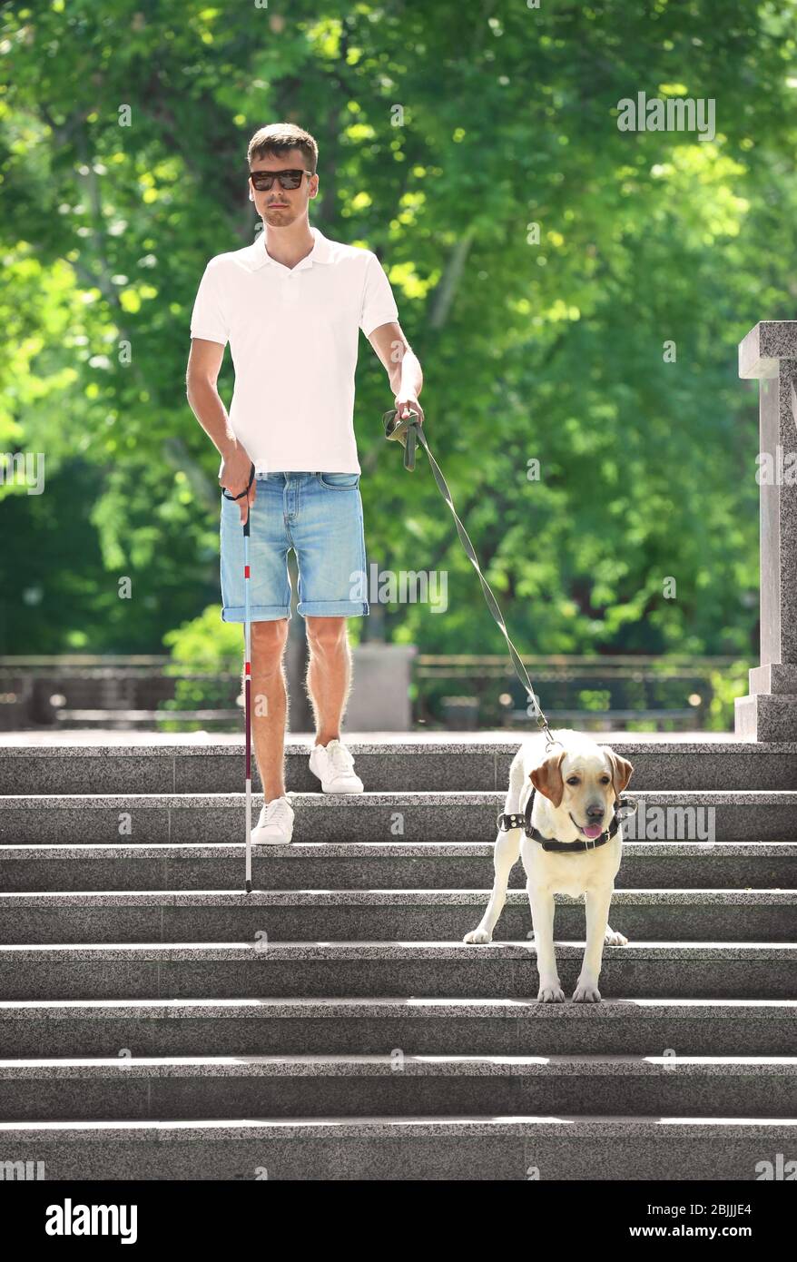 Blindenhund hilft jungen Blinden in der Stadt Stockfoto