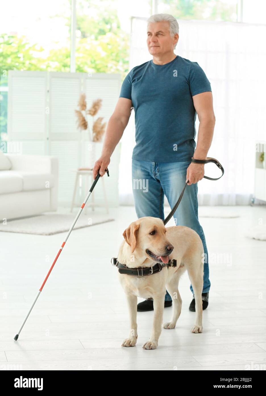 Blinde mit Blindenhund zu Hause Stockfoto
