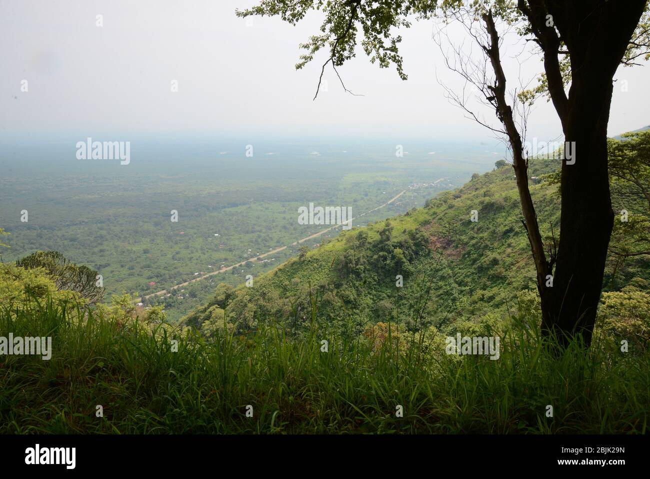 Rwenzori-Gebirge in Uganda, Zentralafrika. Stockfoto