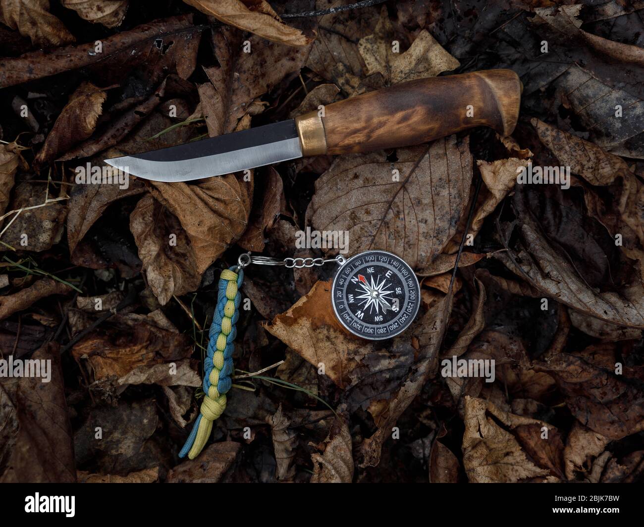 Kompass und Überlebensmesser auf gefallenen Blättern. Werkzeuge für Wandern und Überleben Stockfoto