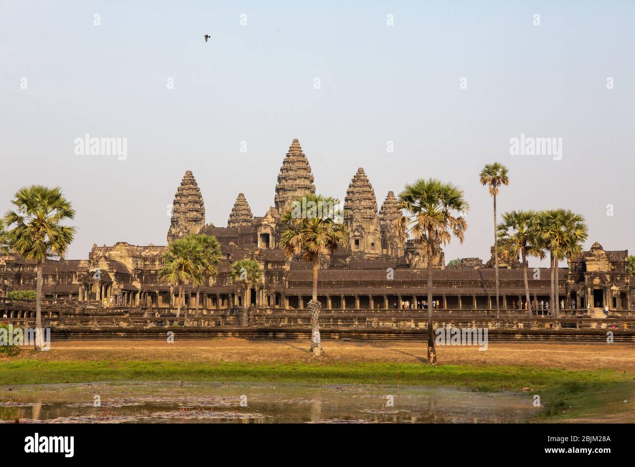 Tempel von Kambodscha Stockfoto