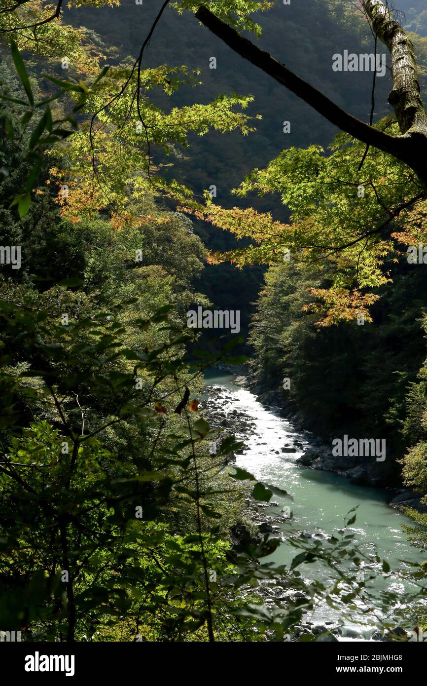 Blick von Shidakura-Bashi Suspension Bidge auf Okutama Mukashi Michi Wanderung, Ishikawa Präfektur, Tokio, Japan Stockfoto