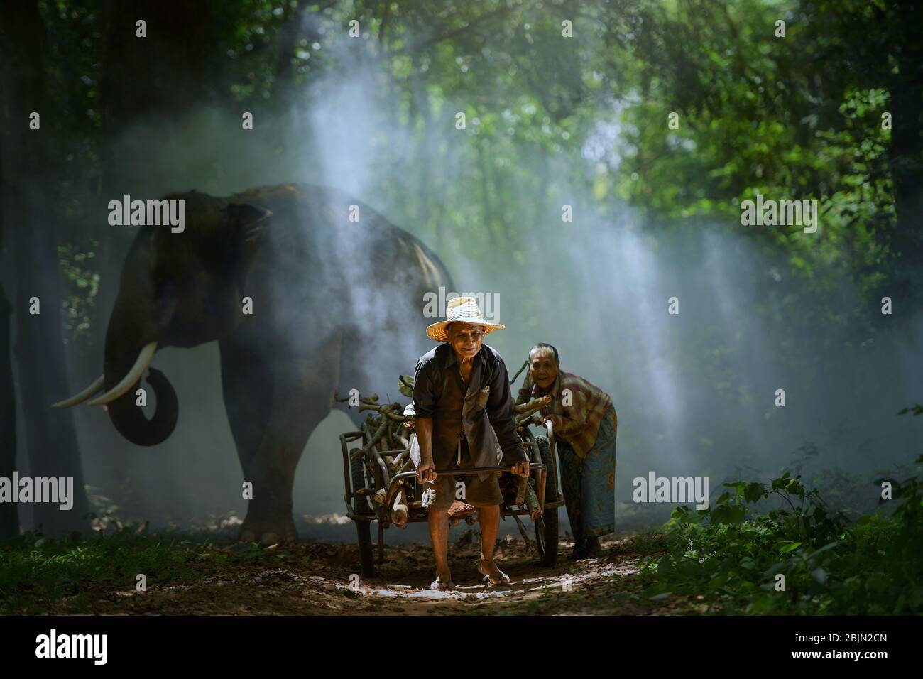 Elefant steht hinter einem älteren Paar, das einen Wagen mit Baumstämmen zieht, Surin, Thailand Stockfoto