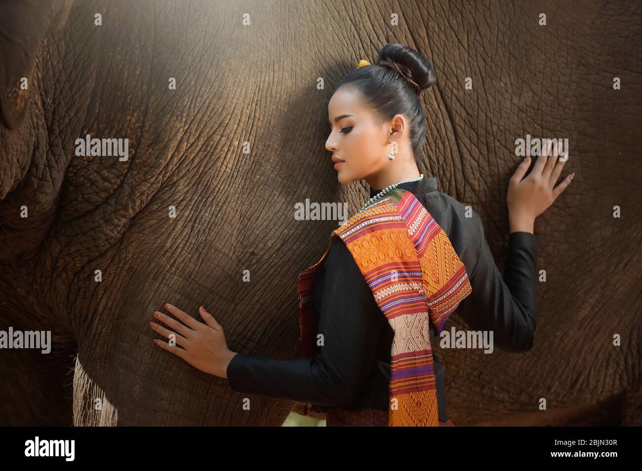 Schöne Frau streichelte einen Elefanten, Thailand Stockfoto