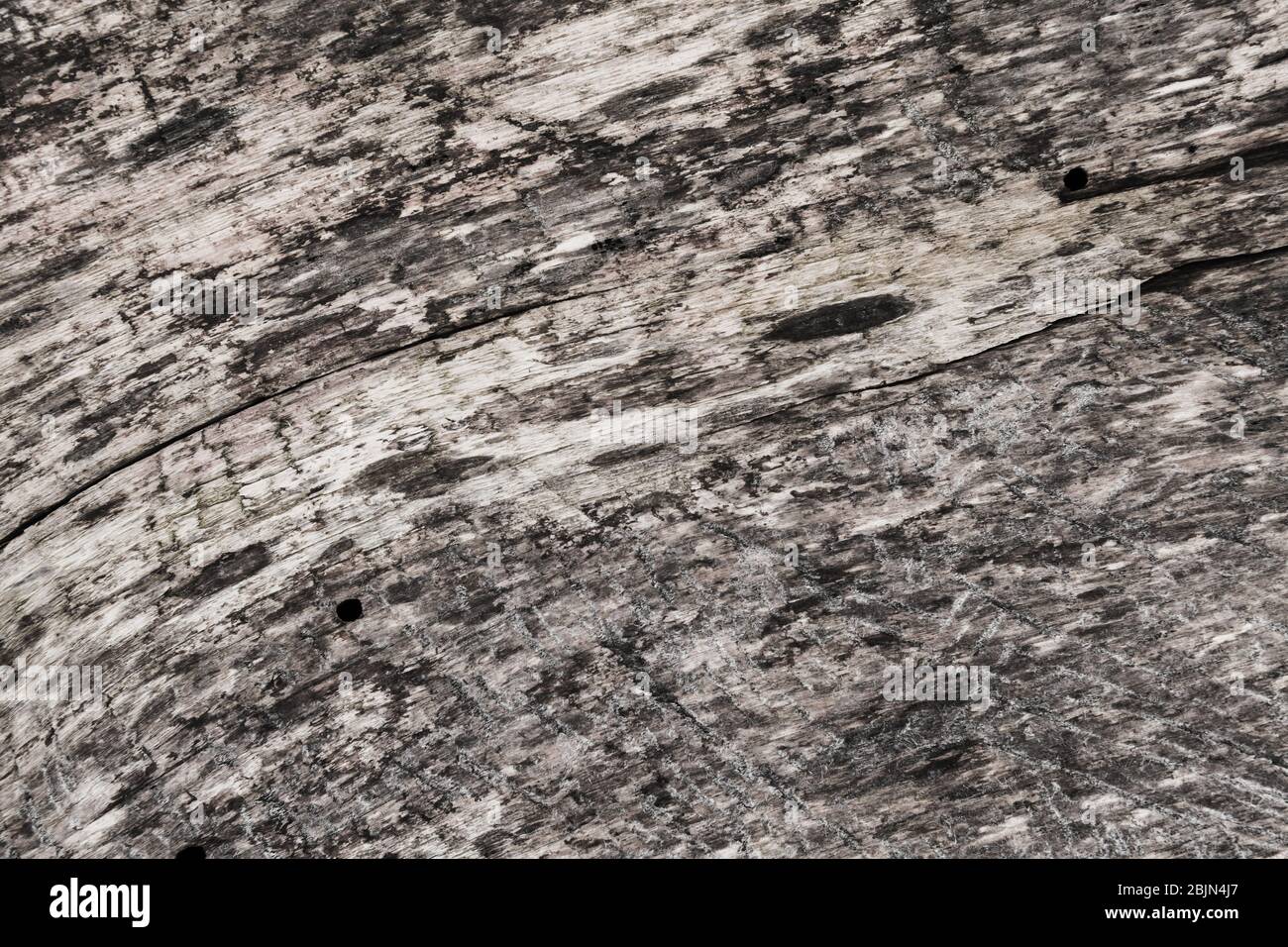Alte verwitterte graue Holztafel Nahaufnahme, flacher Hintergrund Foto Textur Stockfoto