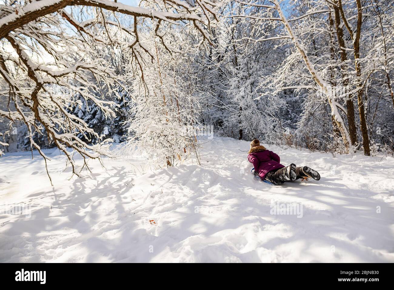 Frau im Schnee Schlitten fahren, USA Stockfoto
