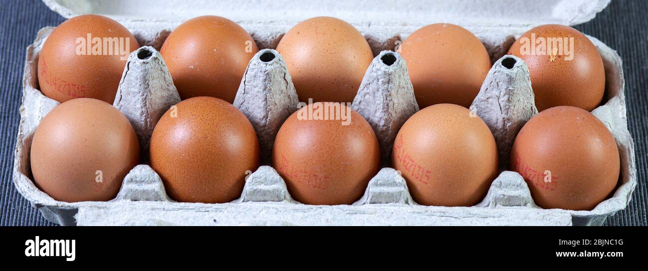 Eier im Tablett, Gruppe von 10 Eiern. Stockfoto